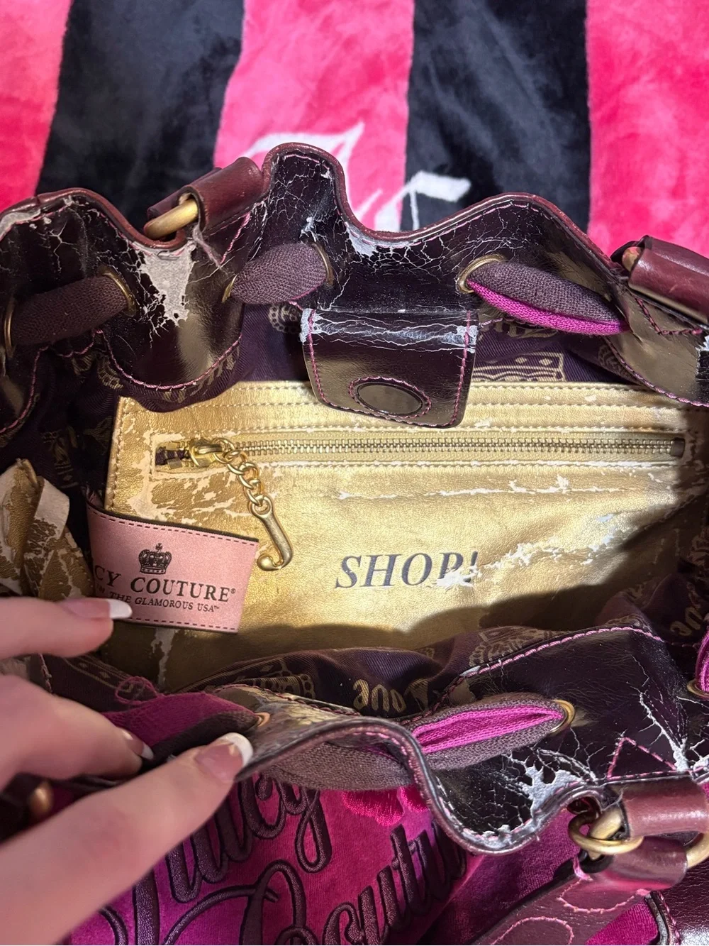 2005/2006 Vintage Juicy Couture Daydreamer Velour Leather Bag
